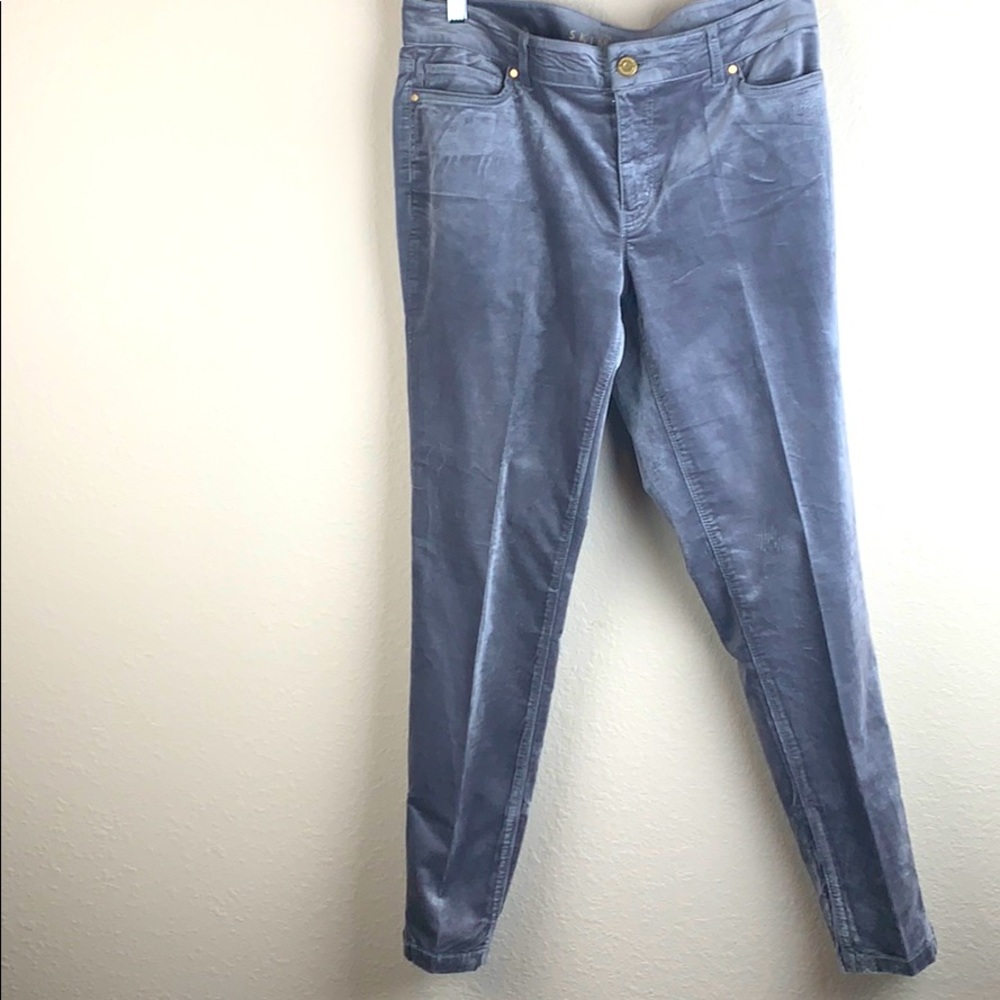 WHBM Skimmer Velvet Jeans